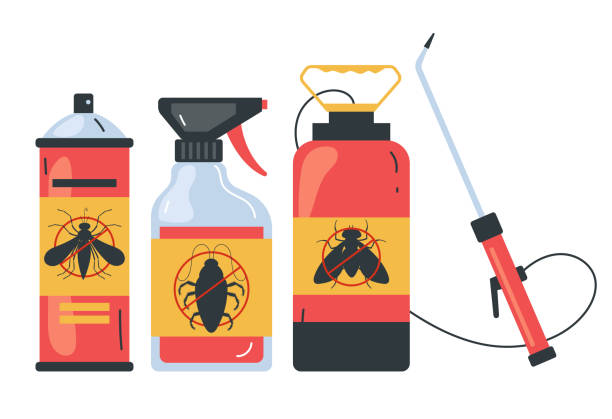 Best Bed Bug Extermination  in Huntington, TX